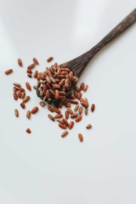 Brown rice grain on wooden spoon